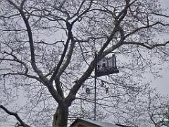 149 CHATEAU DE BRISSAC MAINE ET LOIRE 2016 N0_000010